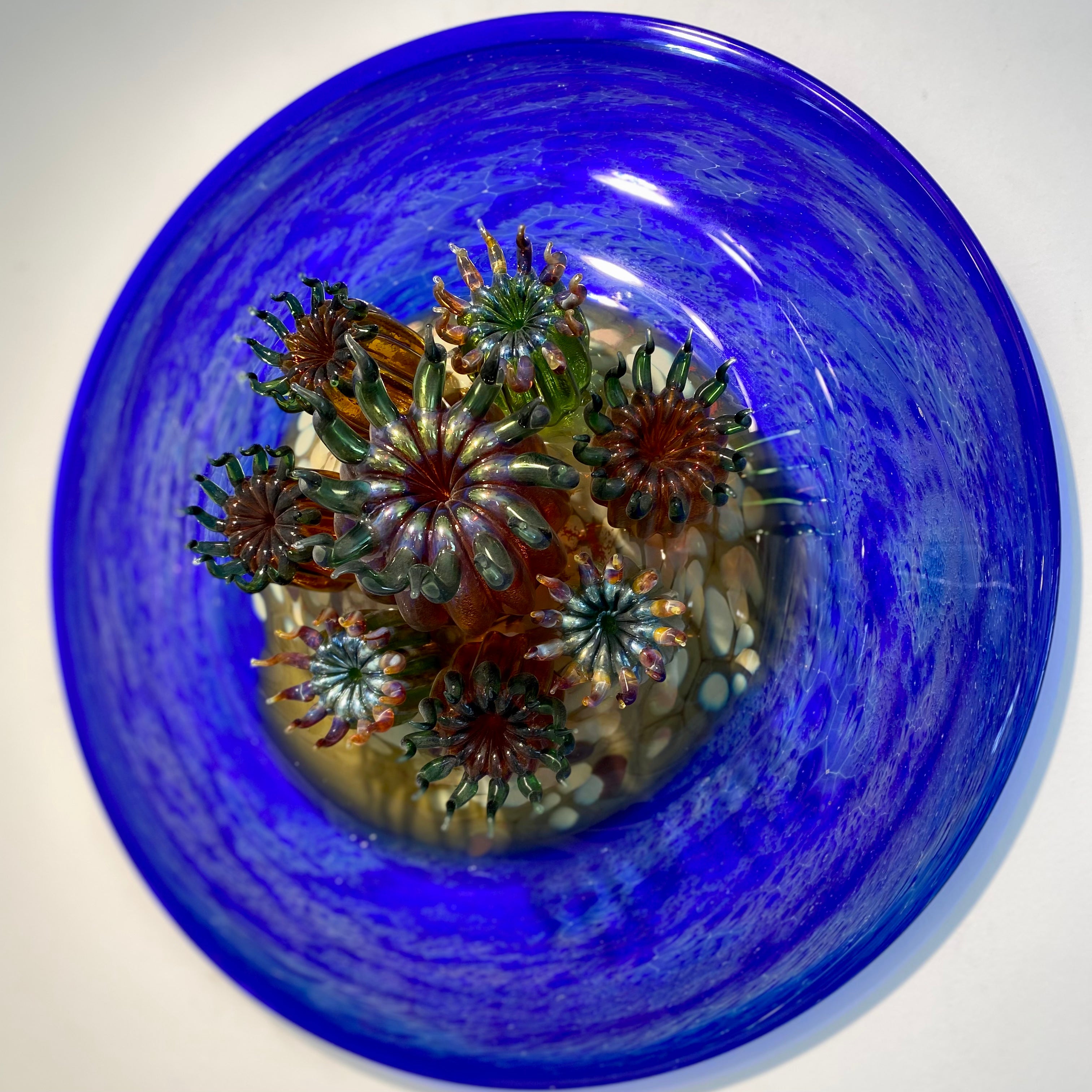 Sea Anemone Wall Sculpture – The Glass Station Studio and Gallery