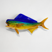 Load image into Gallery viewer, Wall Mounted Glass Mahi Mahi
