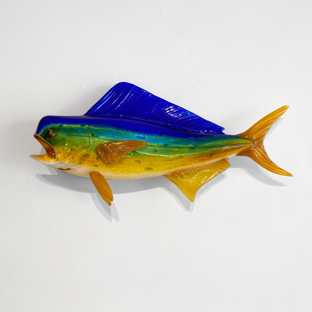 Wall Mounted Glass Mahi Mahi