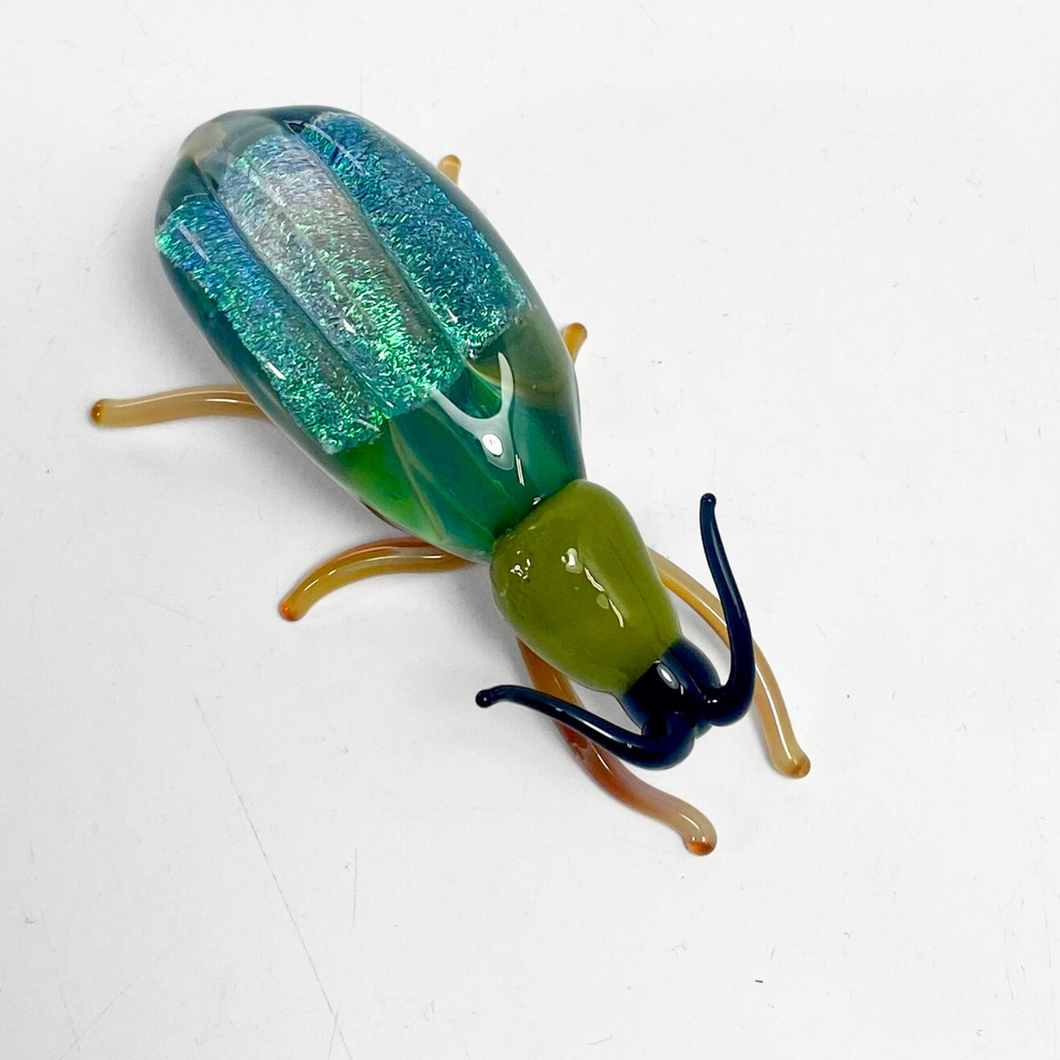 Glass Beetle