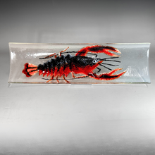 Load image into Gallery viewer, 7 x 24&quot; Curved Lobster Platter
