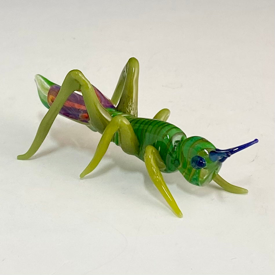 Grasshopper