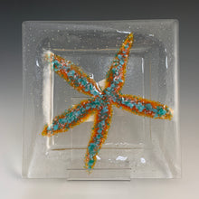 Load image into Gallery viewer, 9 x 9&quot; Sea Star Plates
