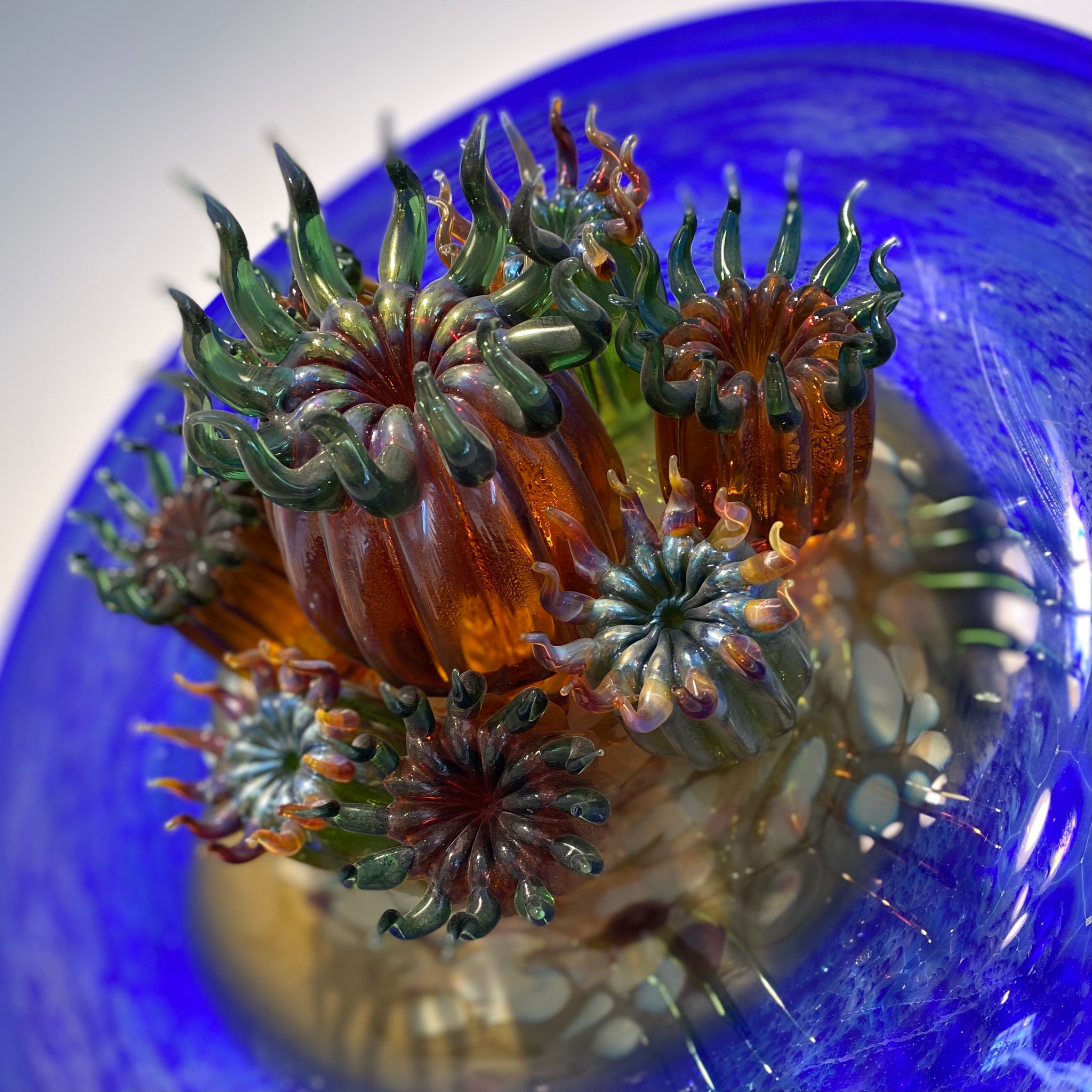 Station – and Studio The Sea Gallery Anemone Wall Glass Sculpture