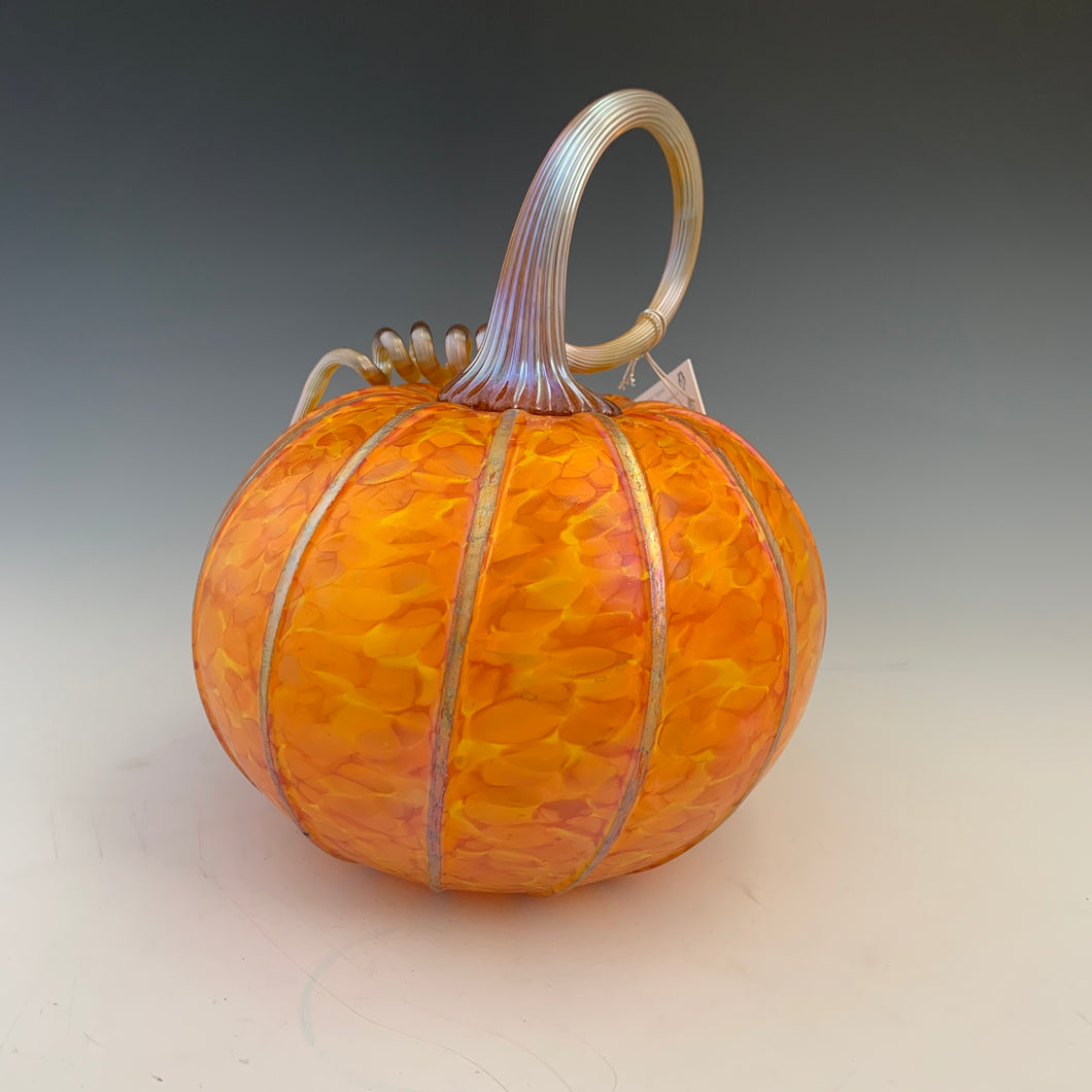 Pumpkins with a Purpose- Large