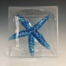 Load image into Gallery viewer, 9 x 9&quot; Sea Star Plates
